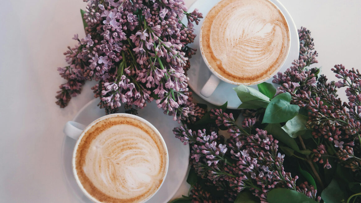 Café Fortal: cidade recebe a primeira edição do festival